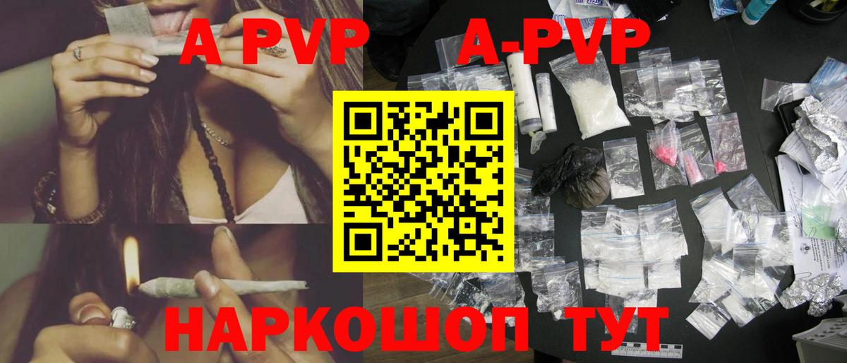 Alfa_PVP СК КРИС Алейск