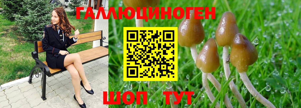 Галлюциногенные грибы Psilocybine cubensis  Галлюциногенные грибы ЛСД  Вход с VPN  Алейск 